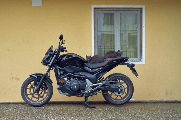 Amv : comment suspendre votre assurance efficacement ?